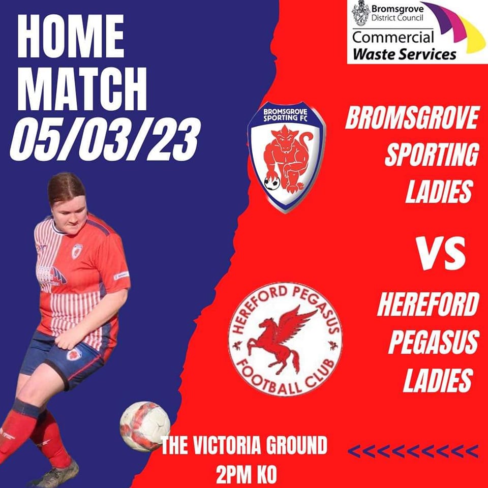 Ladies Next Fixture